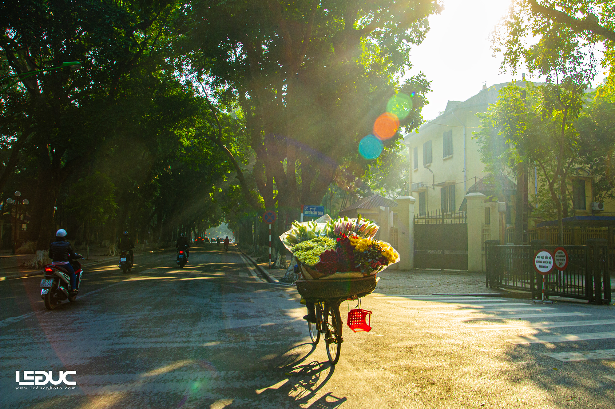 Hoa về trên phố